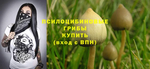 ALPHA PVP Нефтегорск
